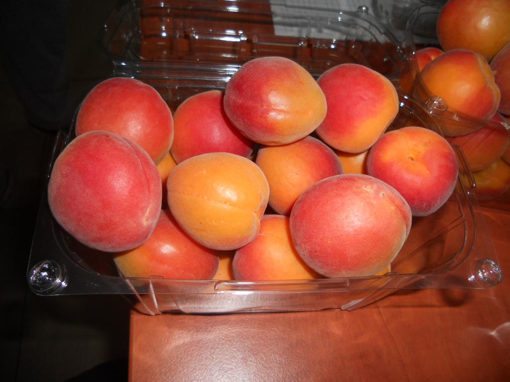 Apricotes